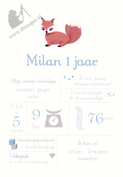 Mijlpalenposter